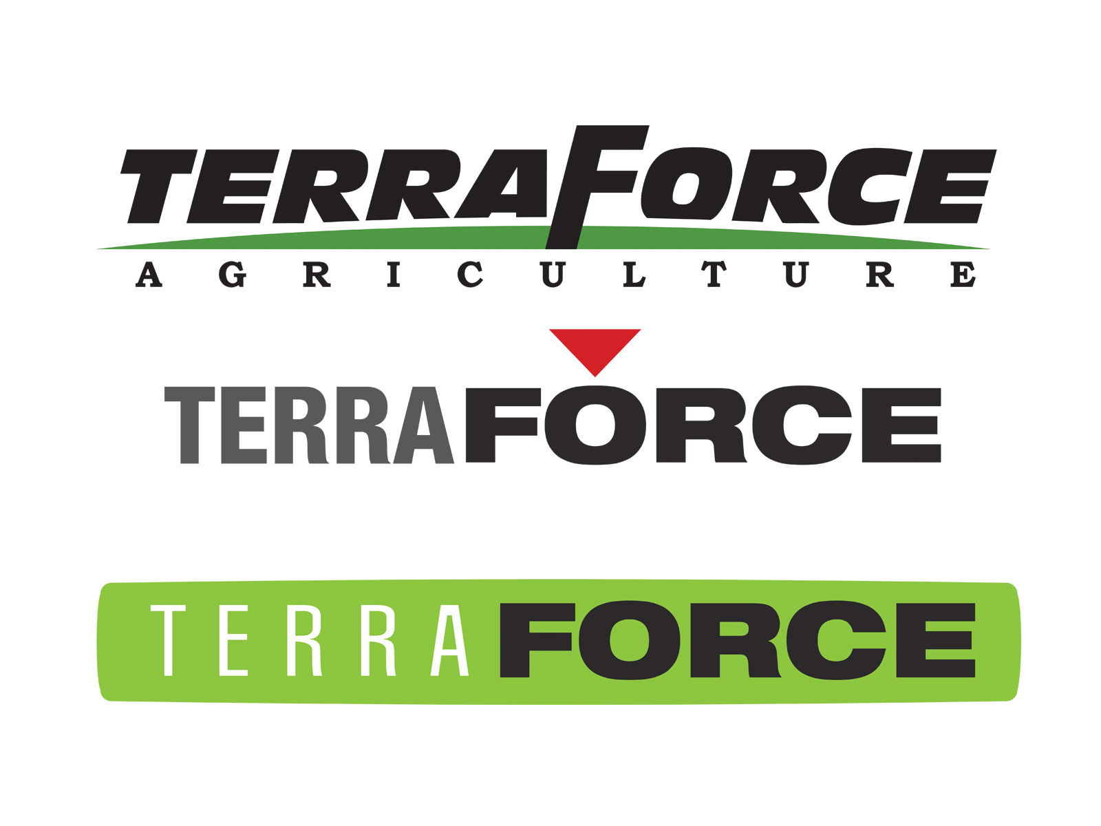 Logo_TerraForce